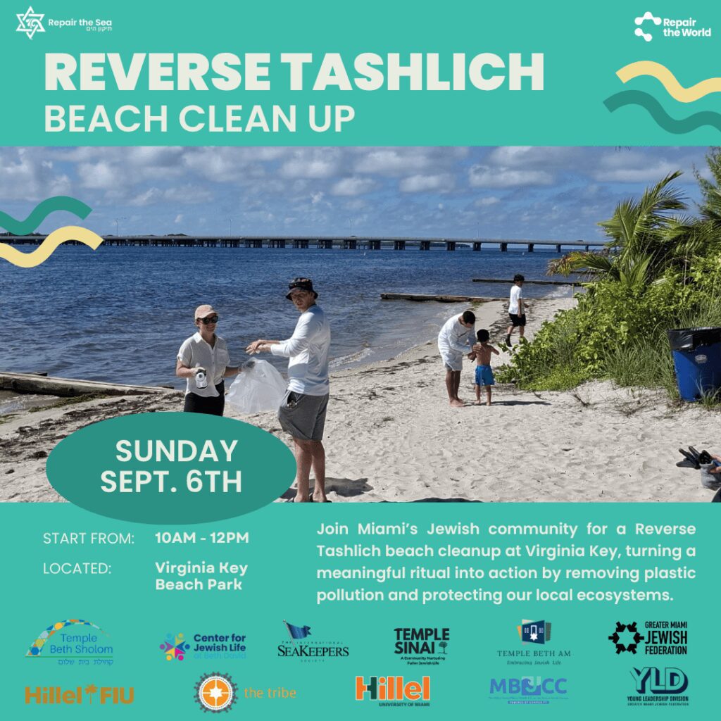 Beach cleanup event with community volunteers.